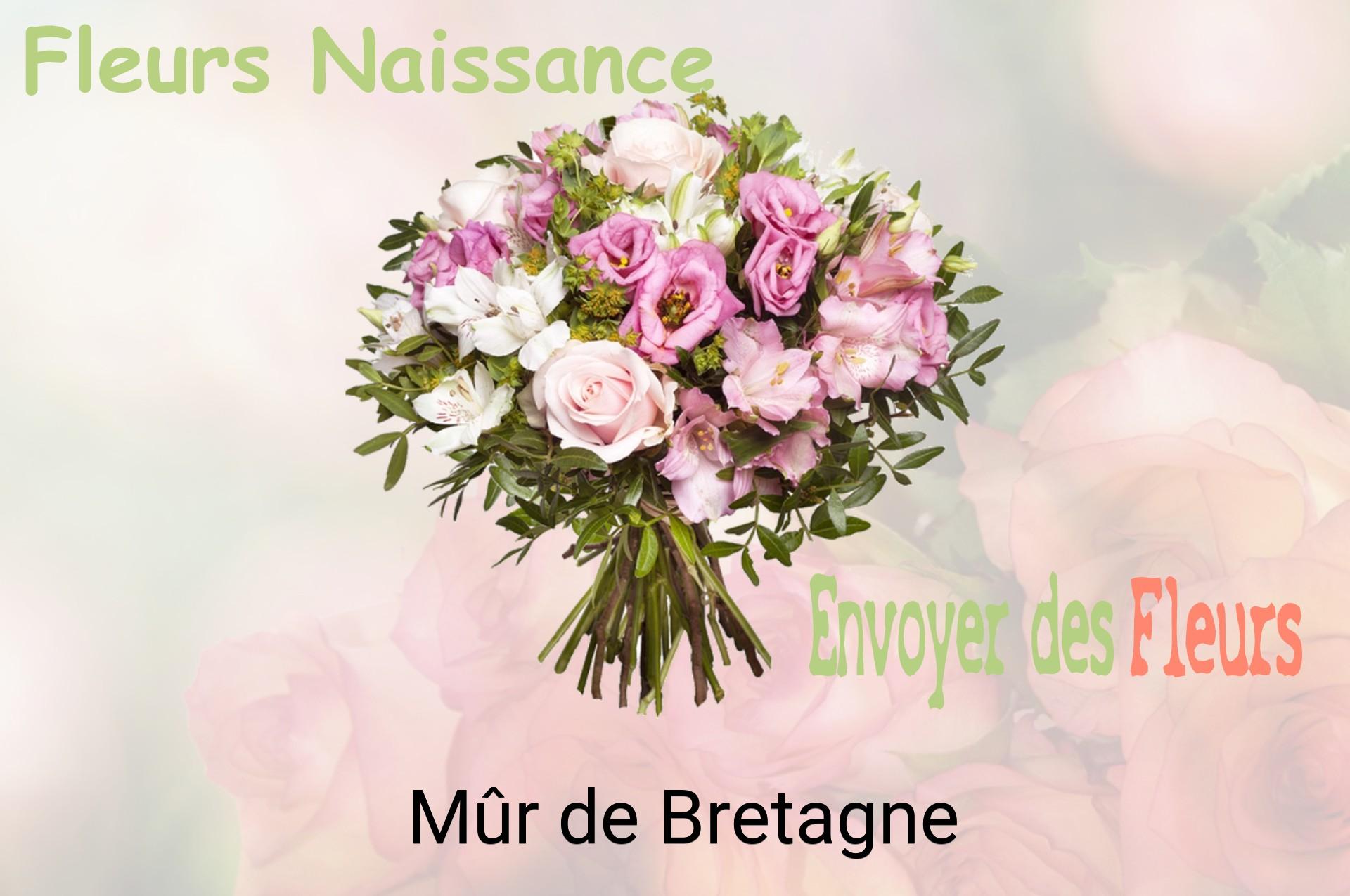 Bouquet de fleurs de naissance livré à Mûr-de-Bretagne